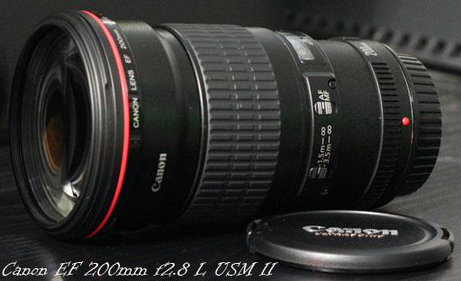 best canon lens for star photography