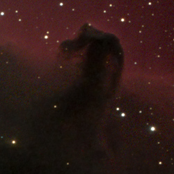 The HorseHead and Flame Nebulas