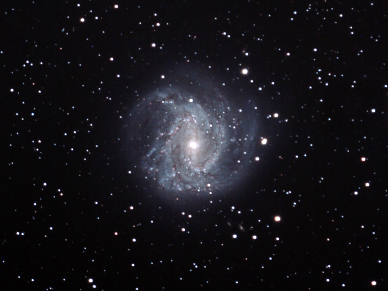 M83GalaxySN-8MPCC38x2mins1600isoIDASguided09May10Try7Web800.jpg (96432 bytes)