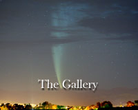 VISIT THE GALLERY